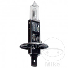JMP H1 Halogenlampe 12 V 55 W