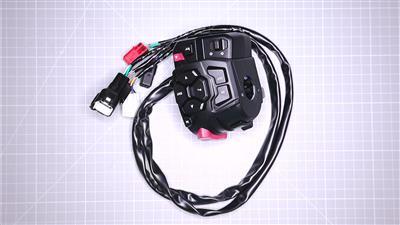 LH HANDLEBAR SWITCH